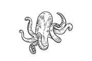 Octopus Vector black engraving