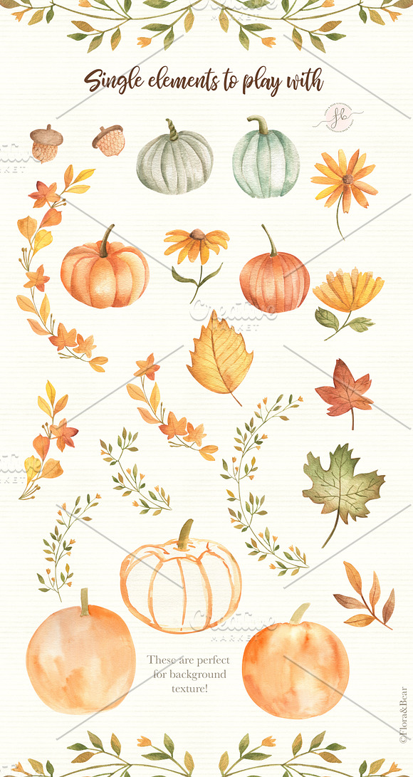 Little Pumpkin in Illustrations - product preview 4
