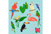 Tropical birds vector flamingo and