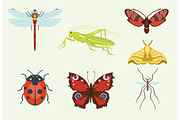 Vector insects icons isolated on