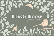 Birds & Blooms Graphics Toolkit