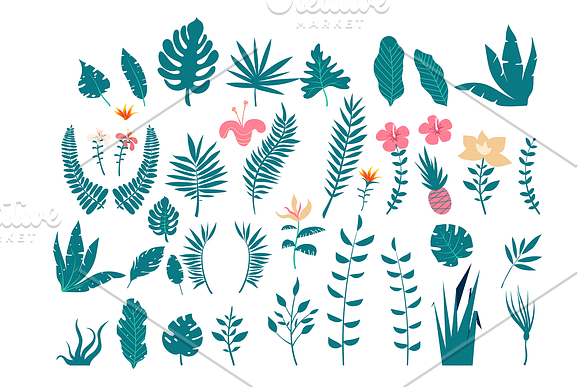 Tropical Design Graphics in Graphics - product preview 4