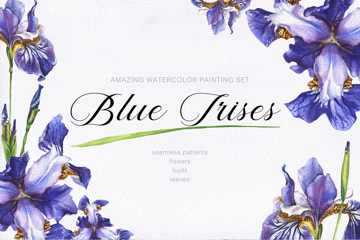 Blue Irises -watercolor painting set in Illustrations - product preview 8
