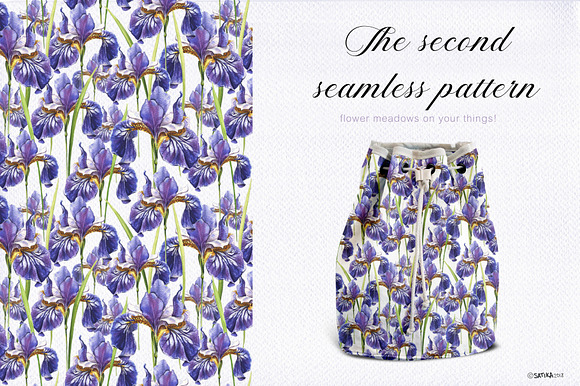 Blue Irises -watercolor painting set in Illustrations - product preview 4