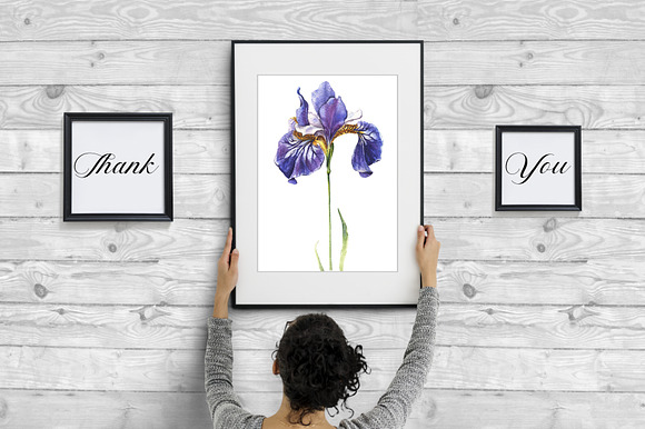 Blue Irises -watercolor painting set in Illustrations - product preview 8