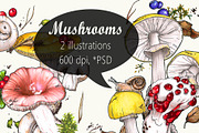 Mushrooms (2 illustrations)