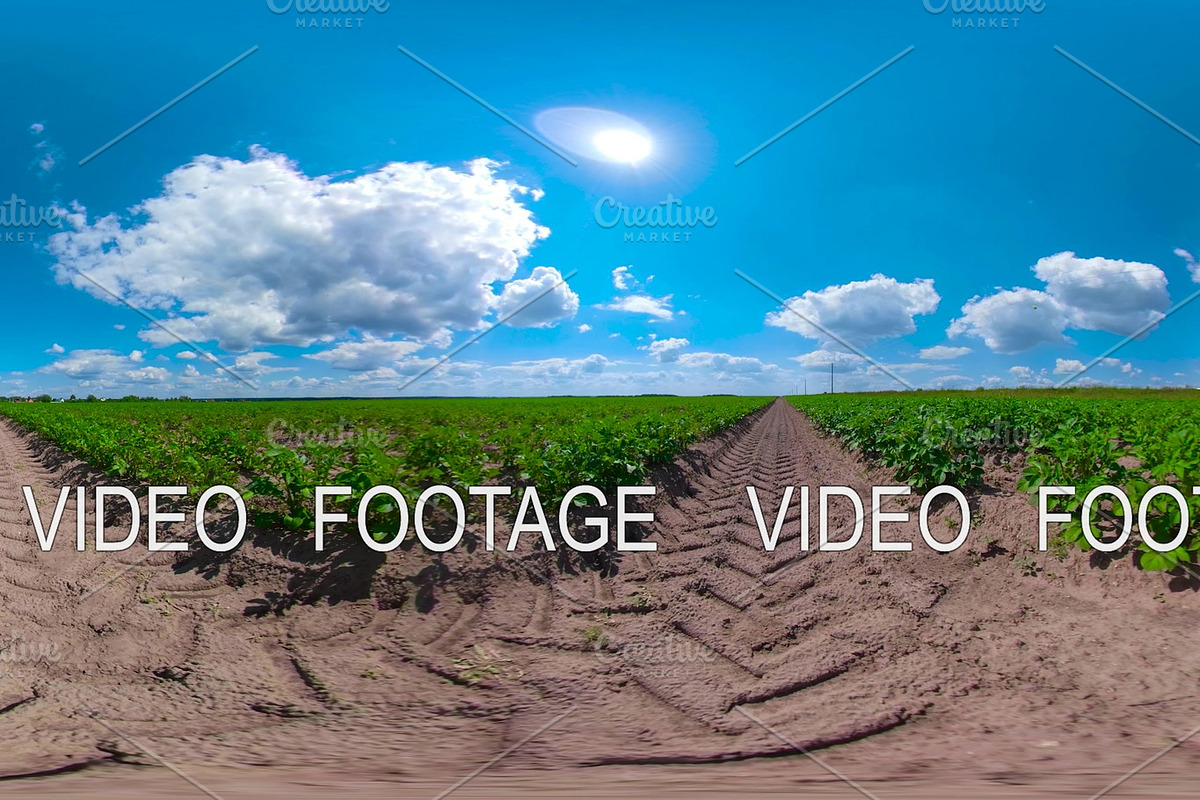 Potato field under blue sky 360VR in Graphics - product preview 8