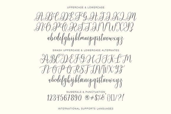 Chadina Script in Script Fonts - product preview 5