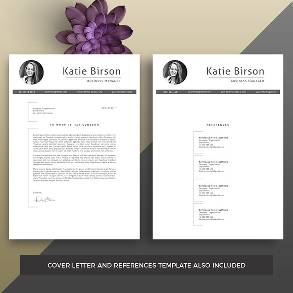 Professional Resume/CV Template. in Resume Templates - product preview 2