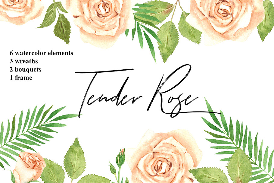 Tender Rose Watercolor Collection