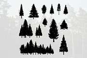 Coniferous Pine Fir Tree Silhouette