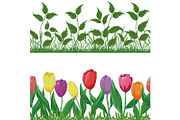 Flowers tulips and grass, set