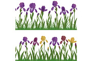 Flowers iris and grass, set seamless