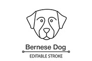 Bernese Mountain dog linear icon