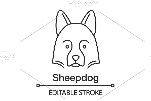 Shetland Sheepdog linear icon