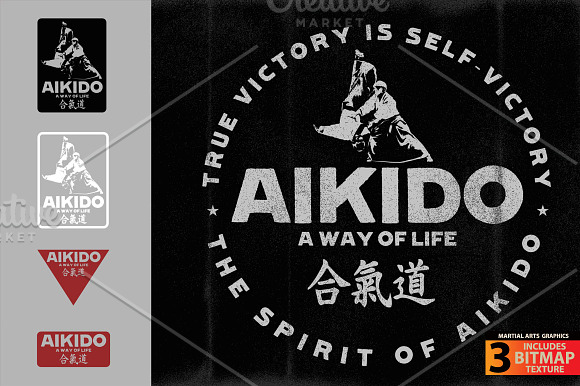 AIKIDO in Illustrations - product preview 1