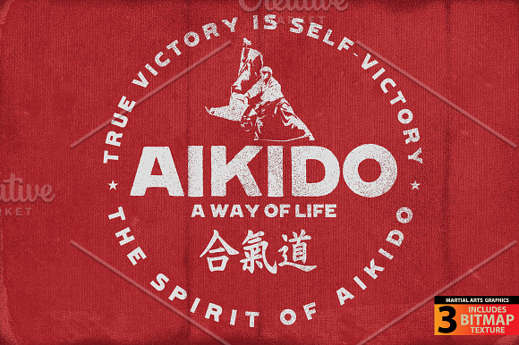 AIKIDO in Illustrations - product preview 2