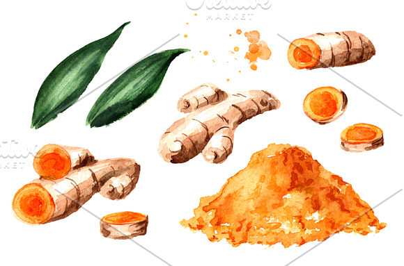 Turmeric in Illustrations - product preview 1