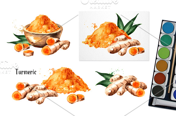 Turmeric in Illustrations - product preview 3