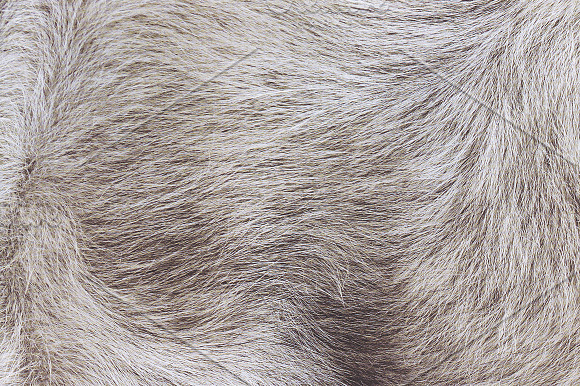 Fur Textures in Textures - product preview 2