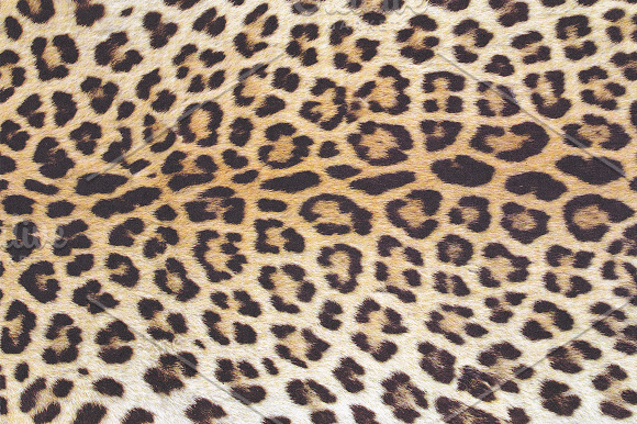 Fur Textures in Textures - product preview 7