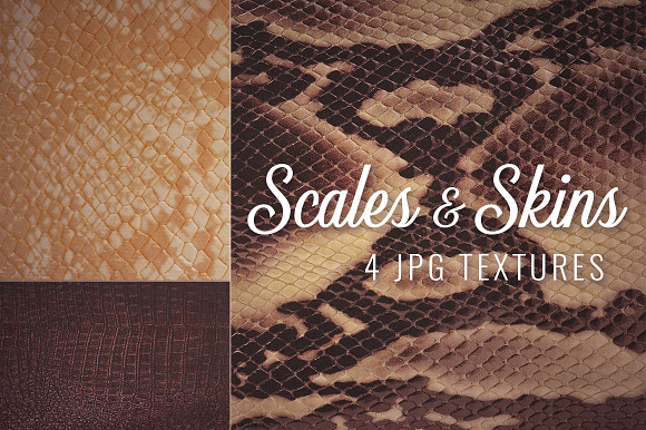 Scales and Skins Textures in Textures - product preview 4