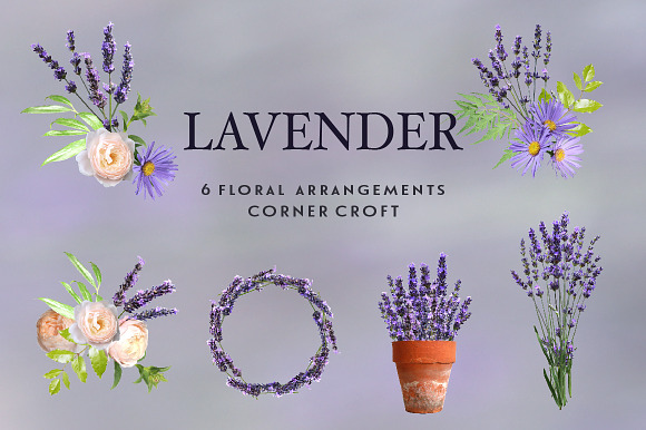 Lavender clipart, Isolated Lavender in Illustrations - product preview 2