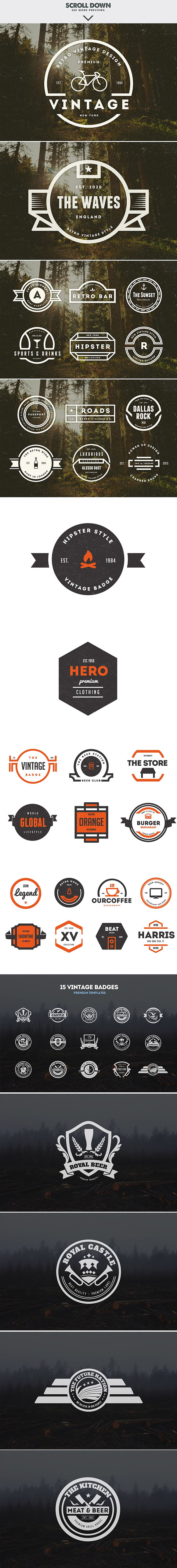 ALL IN ONE LOGO BUNDLE in Logo Templates - product preview 14