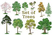 Set Plants, Trees and Bushes