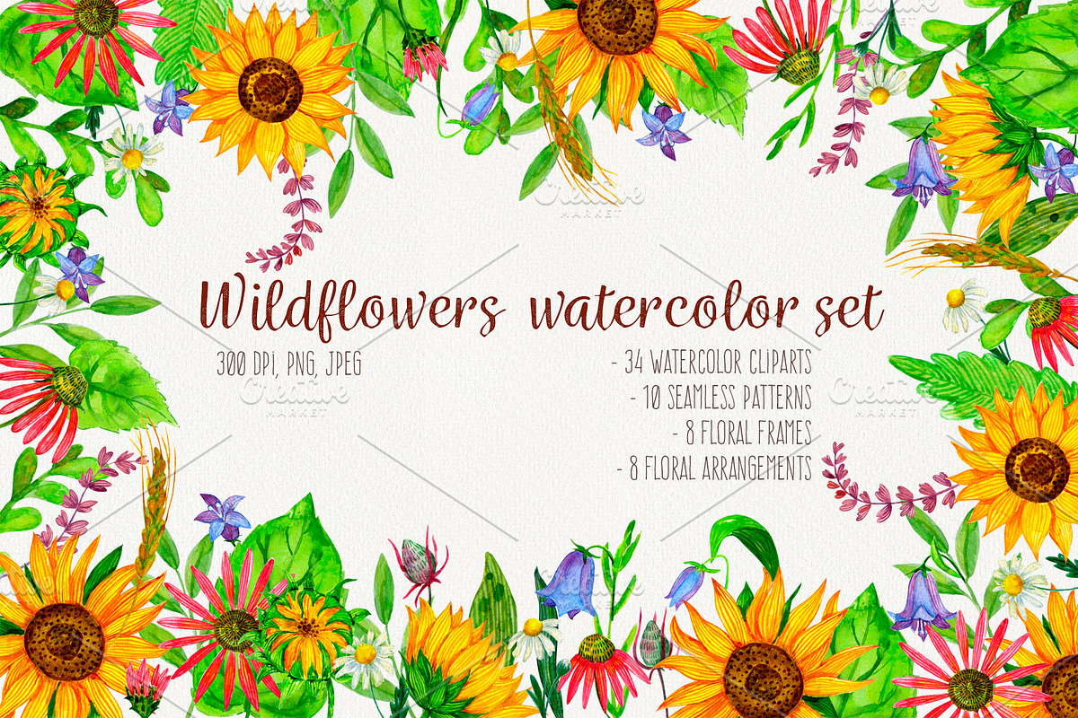Wildflowers watercolor collection in Illustrations - product preview 8