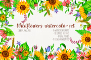 Wildflowers watercolor collection