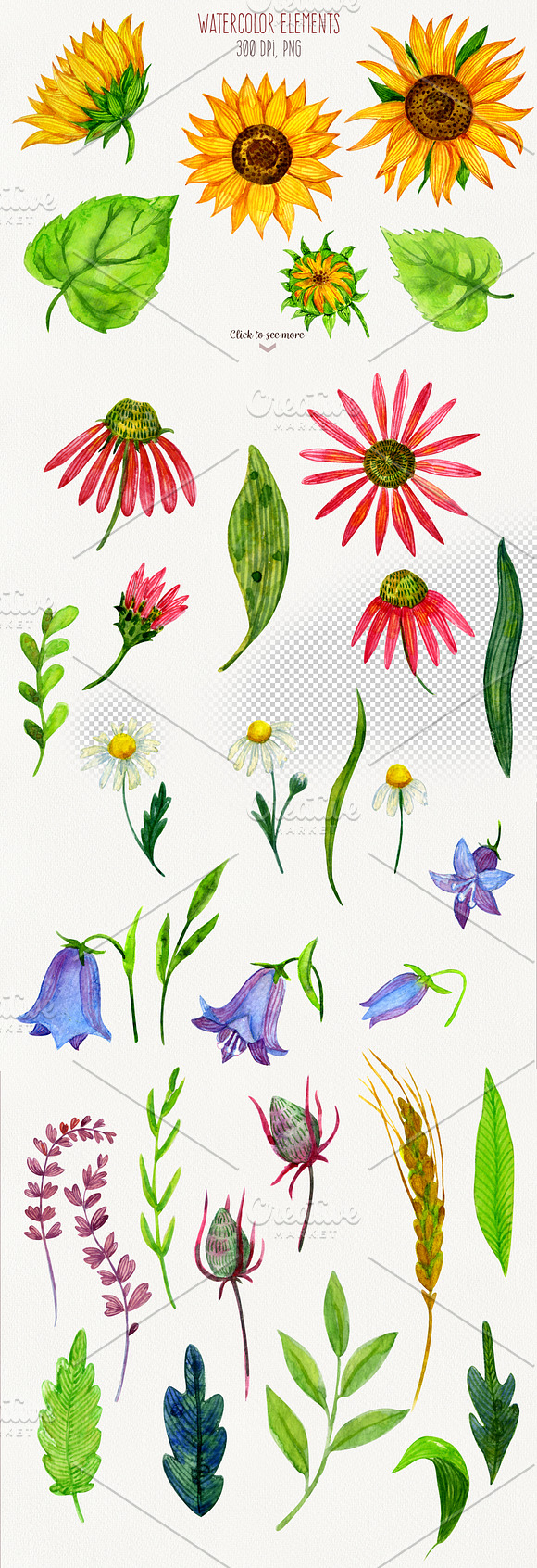 Wildflowers watercolor collection in Illustrations - product preview 1