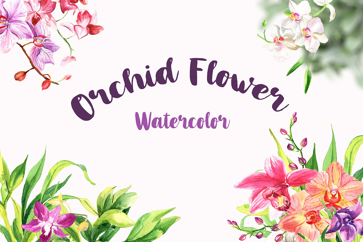 Watercolor Flowers - Orchid in Illustrations - product preview 8