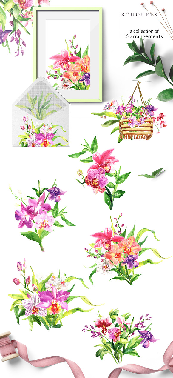 Watercolor Flowers - Orchid in Illustrations - product preview 1