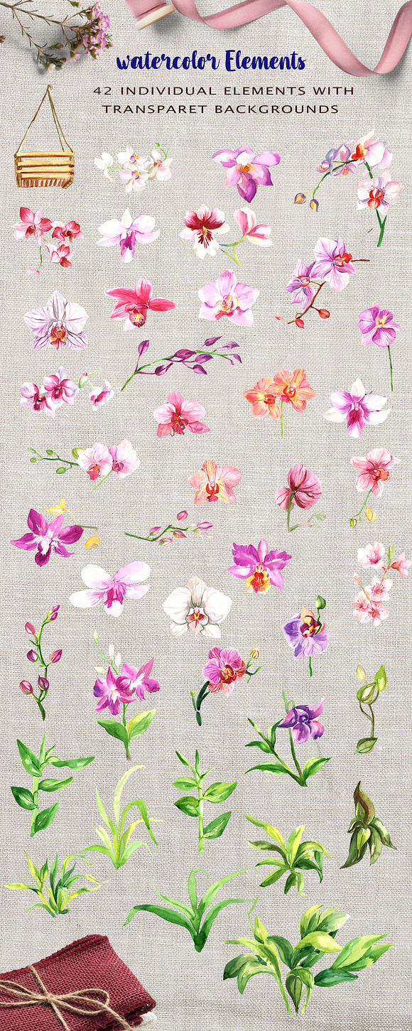 Watercolor Flowers - Orchid in Illustrations - product preview 3