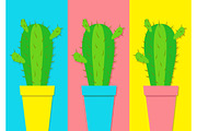 Cactus icon in flower pot icon set.