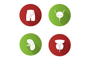 Internal organs icons set