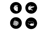 Internal organs glyph icons set