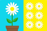 White daisy chamomile icon set. Pot