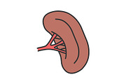 Human spleen color icon