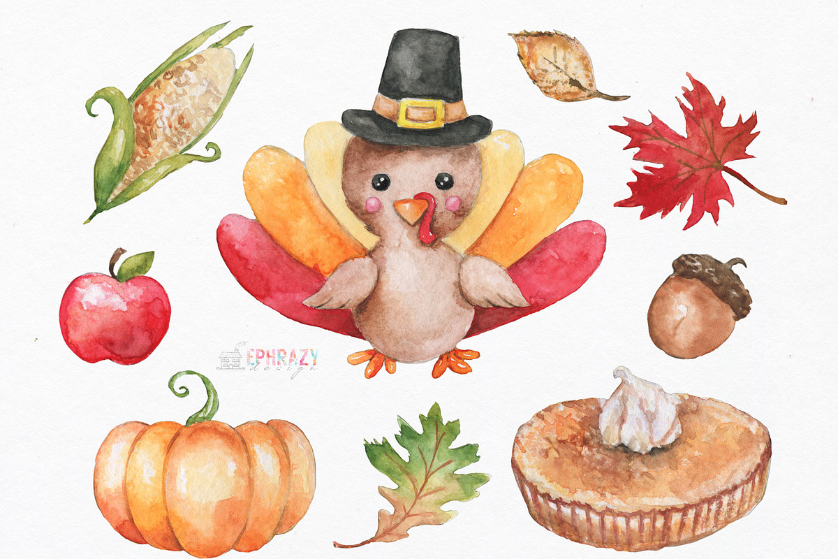 Thanksgiving turkey. Watercolor in Illustrations - product preview 8