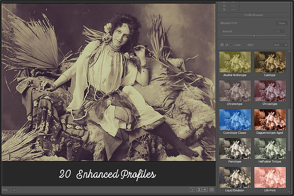 Historical Toning I Profiles LR&ACR in Photoshop Plugins - product preview 5