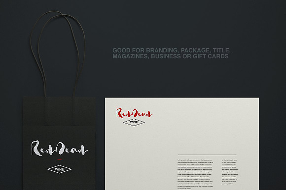 Huge Typographic Pack + 60 Logos ! in Display Fonts - product preview 111