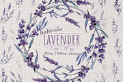 Wonderful violet lavender PNG set