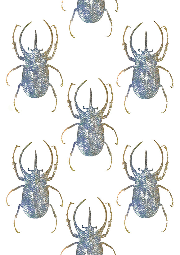 Escarabajo estampado  in Illustrations - product preview 1