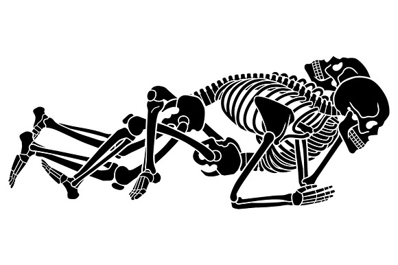 KAMASUTRA with skeletons in Illustrations - product preview 4