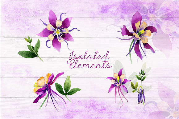 Purple orchid PNG watercolor set in Illustrations - product preview 2