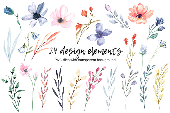 Watercolor floral clip art set. in Illustrations - product preview 1