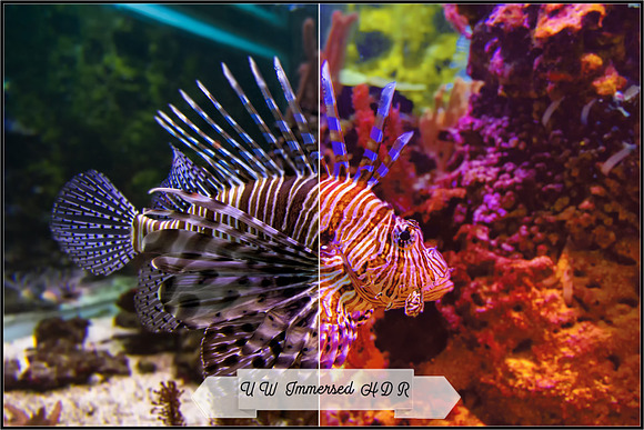 Underwater Fix Profiles for LR & ACR in Photoshop Plugins - product preview 1