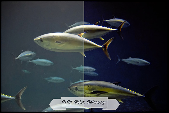 Underwater Fix Profiles for LR & ACR in Photoshop Plugins - product preview 5